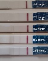 IMG_20210221_151429.jpg IMG_20210221_151429.jpg