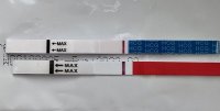 10dpo.jpg