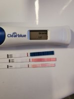 IMG_20210305_073024.jpg IMG_20210305_073024.jpg