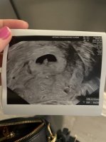 7B076051-043A-47FA-88AB-9BA48B788716.jpeg 7B076051-043A-47FA-88AB-9BA48B788716.jpeg