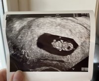 upload_2021-3-26_11-48-50.jpeg upload_2021-3-26_11-48-50.jpeg