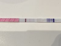 upload_2021-7-8_10-1-3.jpeg upload_2021-7-8_10-1-3.jpeg