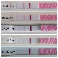 PhotoCollage_20210711_105837513.jpg PhotoCollage_20210711_105837513.jpg