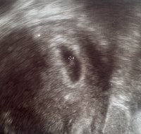 2C6ABE2F-6311-4C2E-9E03-C9B71CB9D590.jpeg 2C6ABE2F-6311-4C2E-9E03-C9B71CB9D590.jpeg