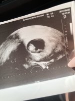 5F78F584-4D5D-4826-B4E7-4E3525358FBA.jpeg 5F78F584-4D5D-4826-B4E7-4E3525358FBA.jpeg