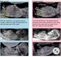 Screenshot_20210814-204836_Samsung Internet.jpg Screenshot_20210814-204836_Samsung Internet.jpg