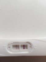 16291094641775286852494315991712.jpg 16291094641775286852494315991712.jpg