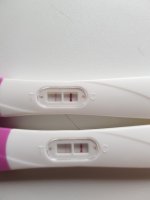 16291136590455354338590977272435.jpg 16291136590455354338590977272435.jpg