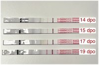 1347BF41-908D-4CDE-A9FC-DC6B387FE45D.jpeg 1347BF41-908D-4CDE-A9FC-DC6B387FE45D.jpeg