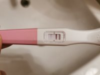 IMG_20210925_152926.jpg IMG_20210925_152926.jpg