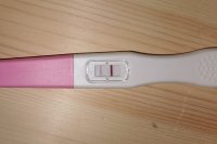 IMG_20210927_052818.jpg IMG_20210927_052818.jpg