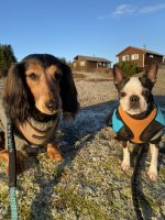 4B9CE94F-32CA-4D49-8A0C-F5A44EE7951F.jpeg 4B9CE94F-32CA-4D49-8A0C-F5A44EE7951F.jpeg