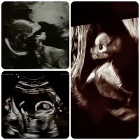 inCollage_20220113_163636700.jpg inCollage_20220113_163636700.jpg