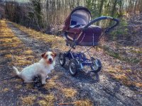 20220417_154639-01.jpeg 20220417_154639-01.jpeg