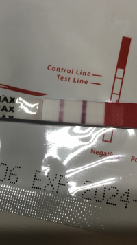 037FBBAB-1C85-4057-8C78-C7718E6E6700.png 037FBBAB-1C85-4057-8C78-C7718E6E6700.png