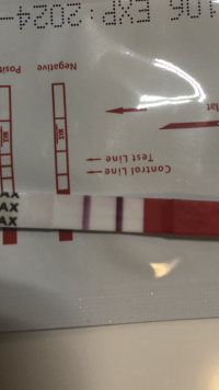 41726731-D30C-4A8E-8DE6-52C1B86CC049.png 41726731-D30C-4A8E-8DE6-52C1B86CC049.png