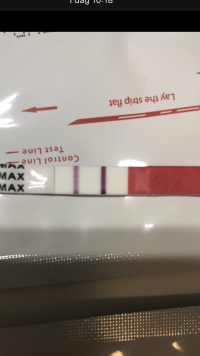 2237FB21-FD1D-4DFA-B6B0-0D5B99A82C7A.png 2237FB21-FD1D-4DFA-B6B0-0D5B99A82C7A.png