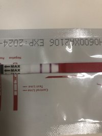 A78AF736-F719-400F-909F-BF6B7E2A5A00.jpeg A78AF736-F719-400F-909F-BF6B7E2A5A00.jpeg