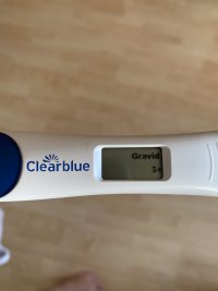 919DCE59-734E-40B5-8EB2-5B0AC04ACBC0.jpeg 919DCE59-734E-40B5-8EB2-5B0AC04ACBC0.jpeg