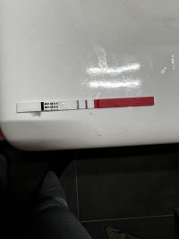 DFE8AA00-A28E-4C21-A14D-A7B67EAC998B.jpeg DFE8AA00-A28E-4C21-A14D-A7B67EAC998B.jpeg