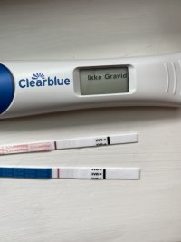 712698ED-D5D8-4252-AF65-4CB969E23A2B.jpeg 712698ED-D5D8-4252-AF65-4CB969E23A2B.jpeg