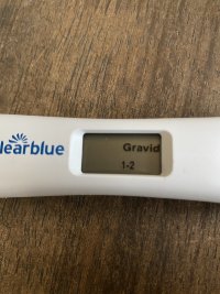 A386E801-AC8F-4469-9589-ADD016B40A7A.jpeg A386E801-AC8F-4469-9589-ADD016B40A7A.jpeg