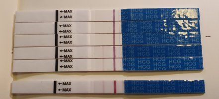 20220620_115608.jpg 20220620_115608.jpg