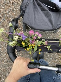 98E2835B-D441-432D-ACA2-9210AE1D2C84.jpeg 98E2835B-D441-432D-ACA2-9210AE1D2C84.jpeg