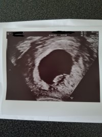 20220818_210123.jpg 20220818_210123.jpg