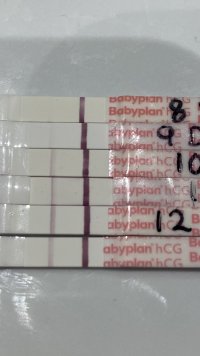 C537FD4F-7C9A-4CA0-B1F0-255FFCDA16AE.jpeg C537FD4F-7C9A-4CA0-B1F0-255FFCDA16AE.jpeg