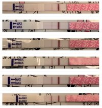 EE65A1E9-C3C6-47ED-9279-6634E81A158B.jpeg EE65A1E9-C3C6-47ED-9279-6634E81A158B.jpeg