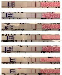 3CA0164F-13B9-471F-B3E3-028020E3F941.jpeg 3CA0164F-13B9-471F-B3E3-028020E3F941.jpeg