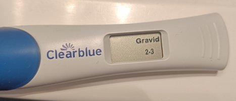 IMG_20221111_150828.jpg IMG_20221111_150828.jpg