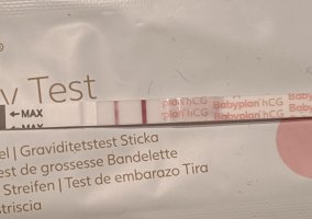 IMG_20221113_203612.jpg IMG_20221113_203612.jpg