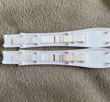 DCA2CC94-BB55-46AA-A587-289BDD87BB1D.jpeg DCA2CC94-BB55-46AA-A587-289BDD87BB1D.jpeg