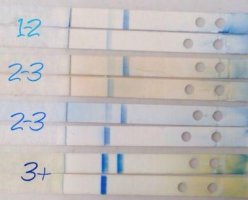 ImageUploadedByBV Forum1455642582.155398.jpg