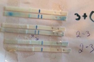 ImageUploadedByBV Forum1455642610.524571.jpg