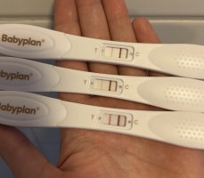 6F7093F8-848B-47E3-AEFA-14591937A517.jpeg 6F7093F8-848B-47E3-AEFA-14591937A517.jpeg