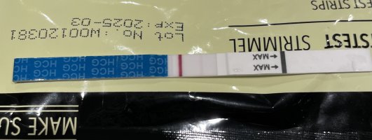 55D63CE1-05DC-4EA2-819F-49C4DF7239A1.jpeg 55D63CE1-05DC-4EA2-819F-49C4DF7239A1.jpeg