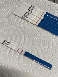 A6851049-CD60-4B21-A485-FEF06E5F3869.jpeg A6851049-CD60-4B21-A485-FEF06E5F3869.jpeg