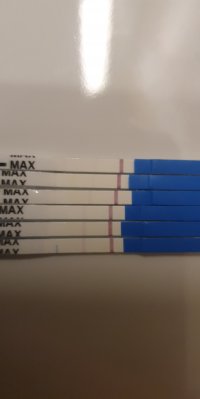 Snapchat-389407251.jpg Snapchat-389407251.jpg