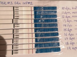 IMG_20221128_074737_edit_584259305901472.jpg IMG_20221128_074737_edit_584259305901472.jpg