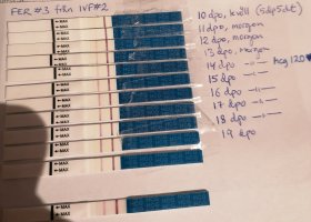 IMG_20221129_072153_edit_618289075799404.jpg IMG_20221129_072153_edit_618289075799404.jpg