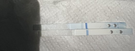 EE6D9B89-195F-4553-BD78-08033392744A.jpeg EE6D9B89-195F-4553-BD78-08033392744A.jpeg