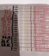 33B1DC2A-1CEF-47D6-97AB-56D74AABAB4E.jpeg 33B1DC2A-1CEF-47D6-97AB-56D74AABAB4E.jpeg