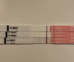 F2A81678-D448-42A3-96ED-0DF5D9B8858E.jpeg F2A81678-D448-42A3-96ED-0DF5D9B8858E.jpeg