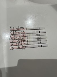 AE27AAC6-73D8-4CB8-95B8-70AB184295C2.jpeg AE27AAC6-73D8-4CB8-95B8-70AB184295C2.jpeg