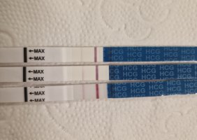 20221202_095741.jpg 20221202_095741.jpg