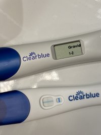 0CA1FBBB-817C-4DA8-A235-548065D616CE.jpeg 0CA1FBBB-817C-4DA8-A235-548065D616CE.jpeg