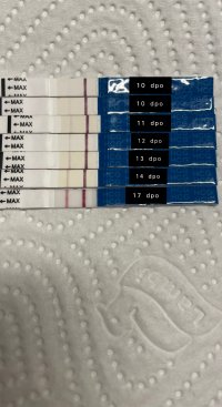 FBDECFA2-61A5-4464-8E76-CBF0B3F07034.jpeg FBDECFA2-61A5-4464-8E76-CBF0B3F07034.jpeg